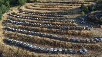 Elazığ'da bal rekoltesi arttı: Arıcılar 10 kilogram bekliyor