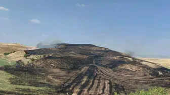 Siirt'te anız yangını meyve bahçesini tehdit etti: 100 ağaç tahrip oldu