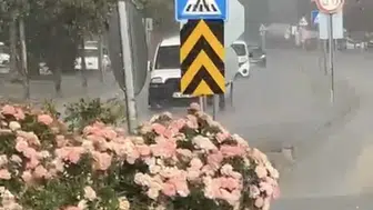 Bolu'da yaz sıcağında beklenmedik yağmur yaşamı olumsuz etkiledi