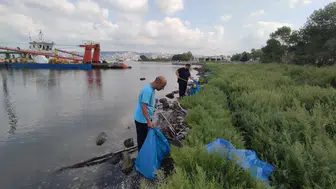 Kocaeli sahillerinde etkili temizlik: 10 ton çöp toplandı