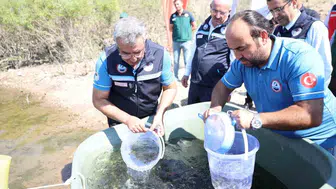 Çanakkale'de Atikhisar Barajı'na 348 bin sazan yavrusu salındı