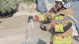 Hatay'da yerleşim alanlarındaki yılanlar doğaya kazandırıldı