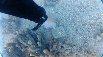 Bodrum'da deniz dibi temizliği sırasında 75 kilo atık toplandı