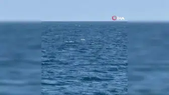 Romanya'da denizden sürüklenen insansız hava araçları kontrollü şekilde imha edildi