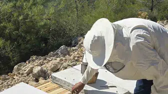 Söke'de arıcılık destekleri için kovan tespit çalışmaları devam ediyor