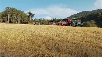Bolu'da anız yangınına köylülerin hızlı müdahalesi büyük tehlikeyi önledi