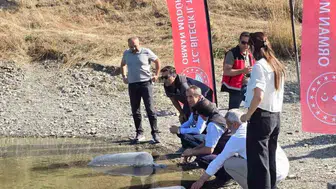 Bilecik’te su kaynaklarını canlandıran sazan balığı dağıtımı gerçekleştirildi