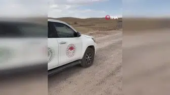 Oklu kirpi tedavi edildi, doğaya yeniden kazandırıldı