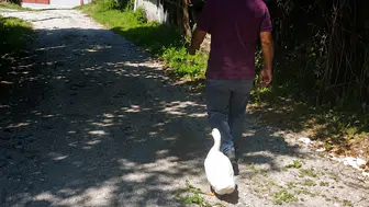 Torunun ilgisini kaybedince dedeye en yakın arkadaş oldu