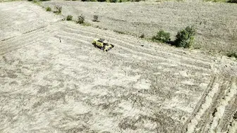 Siyez buğdayına artan ilgi: Kastamonu'dan İstanbul'a sağlıklı ekmek yolculuğu