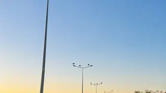 Muratlı'da leylekler, elektrik direklerine konaklayarak seyahatlerine renk kattı