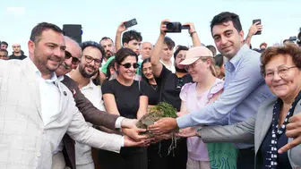 Tuzla'da deniz çayırları projesi hayata geçti: Marmara Denizi'ne nefes olacağı söyleniyor