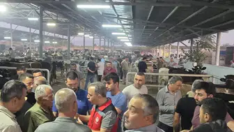 Aydın’daki hayvan pazarlarında denetimler artıyor