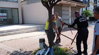 Kepez Belediyesi kamu alanı işgallerine karşı sıkı denetim başlattı