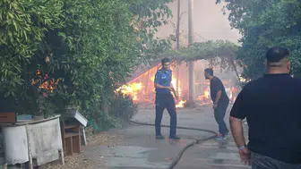 Yangın, Antalya'da ağaçlık alanda paniğe neden oldu