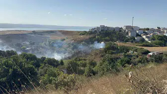 Büyükçekmece'de tarla yangını paniği: Alevler hızla yayıldı