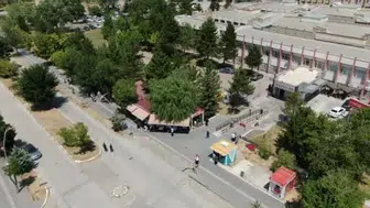 Sivas’taki kafede salkım söğüt ağacı ile doğayla iç içe bir deneyim