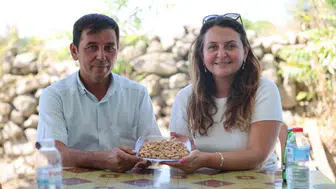 Yuntdağı fıstık hasadı için hazırlıklar son aşamada