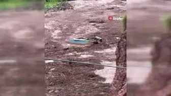 Büyük Kanyon'da ani sel felaketi: 1 ölü, 15 kayıp