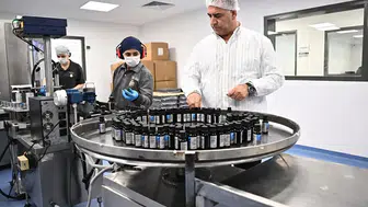 Talya bitkisel ürünleri global pazarlara açılıyor