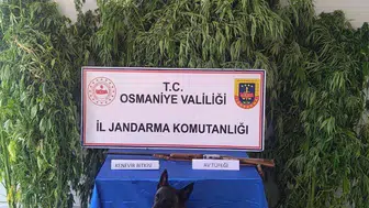 Osmaniye'de jandarma bir haftada düzenlediği operasyonda 128 şüpheliyi gözaltına aldı