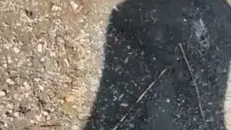 Tatil anında yılan şakası: Elazığ'da arkadaşını kovalayan genç