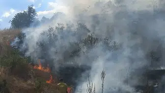 Bozüyük orman yangını hızlıca kontrol altına alındı