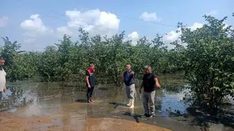 Çarşamba'da sağanak sonrası hasar tespit çalışmaları hız kazandı