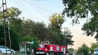 Muratlı'da otobüs durağına yakın ağaçlık alanda yangın: itfaiye müdahale etti