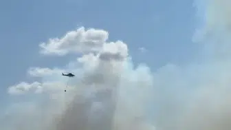 Silivri'deki tarla yangını hızla yayıldı: Trafik durma noktasına geldi