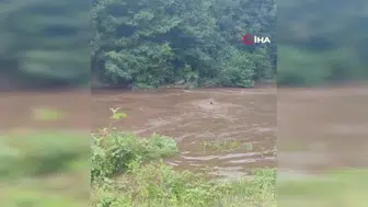 Giresun'da sel felaketinde bir kardeşin cansız bedenine ulaşıldı