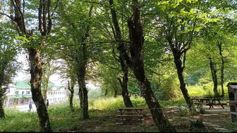 Bartın Üniversitesi'nde akademisyenler için yeni piknik alanı açıldı