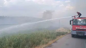 Siirt'te örtü yangını: 100 dönüm alan zarar gördü