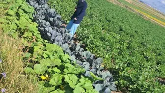 Erzurum'da kadın çiftçilerin tarımsal gelişimi hızleniyor