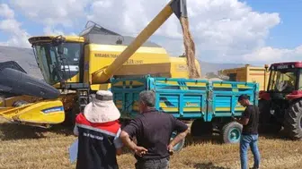 Erzurum'da hasat dönemi denetimleri kesintisiz devam ediyor