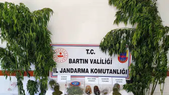 Bartın'da jandarmadan uyuşturucu operasyonu: 1 kişi gözaltında