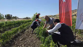 Şırnak'ta tarımsal üretim artıyor: TAKE Projesi ile sebze hasadı yapıldı