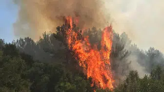 Muğla'da orman yangınına müdahale devam ediyor