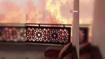 Cezayir’de orman yangınları can almaya devam ediyor