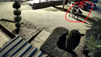 Diyarbakır'da eşini kucağındaki çocuğun önünde vurup öldüren zanlı mahkemeye sevk edildi