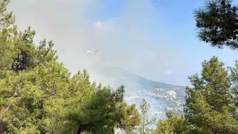 Antalya orman yangınları: Alanya ve Konyaaltı'nda acil müdahale sürüyor