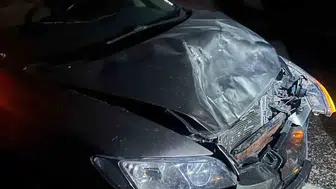 Başına buyruk bir eşek yolda can aldı: Adıyaman'da kaza gerçekleşti