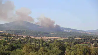 Çanakkale'nin Bayramiç ilçesinde orman yangınına müdahale sürüyor
