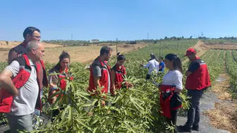 Gördes’te tarımsal çeşitlilik için yeni incir üretimi projesi