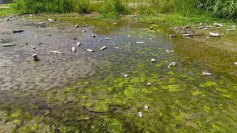 Tunca Nehri'nde kuraklık tehdidi: Su seviyesi alarm veriyor