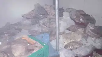 Bodrum'da kötü kokudan şok edici et skandalı: 400 kilo bozulmuş et ele geçirildi
