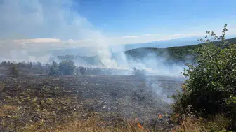Kastamonu'da orman yangını söndürüldü: Soğutma çalışmaları devam ediyor