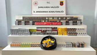 Şanlıurfa'da jandarma operasyonu: 16 kişi hakkında işlem yapıldı