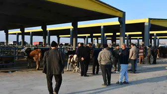 Kayseri, tarım ve hayvancılığın merkezi olma yolunda ilerliyor