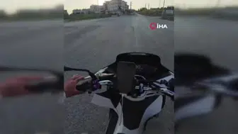 Alman vatandaşı yavru köpeği taşla öldürme iddiasıyla sınır dışı edildi